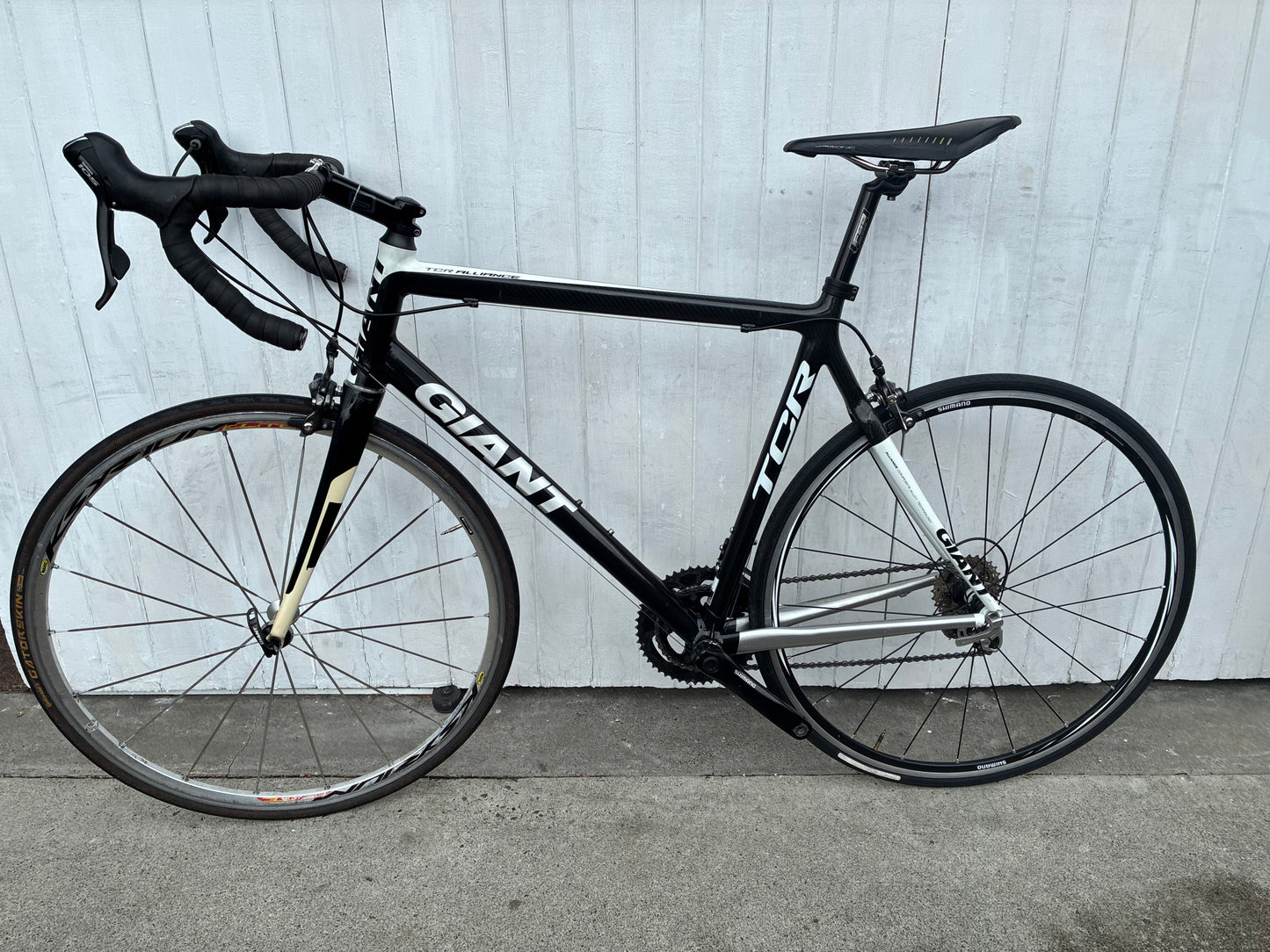Giant TCR Alliance (105) - Large