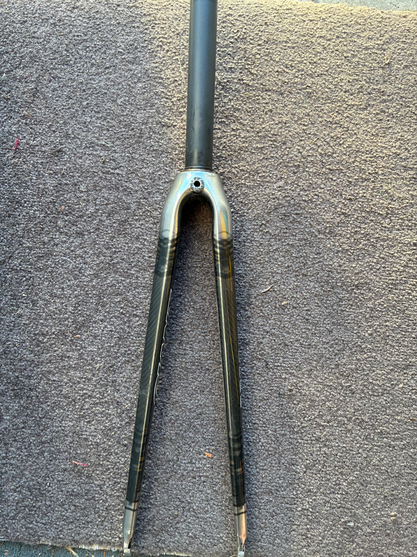 Giant Carbon Road Fork - 700c