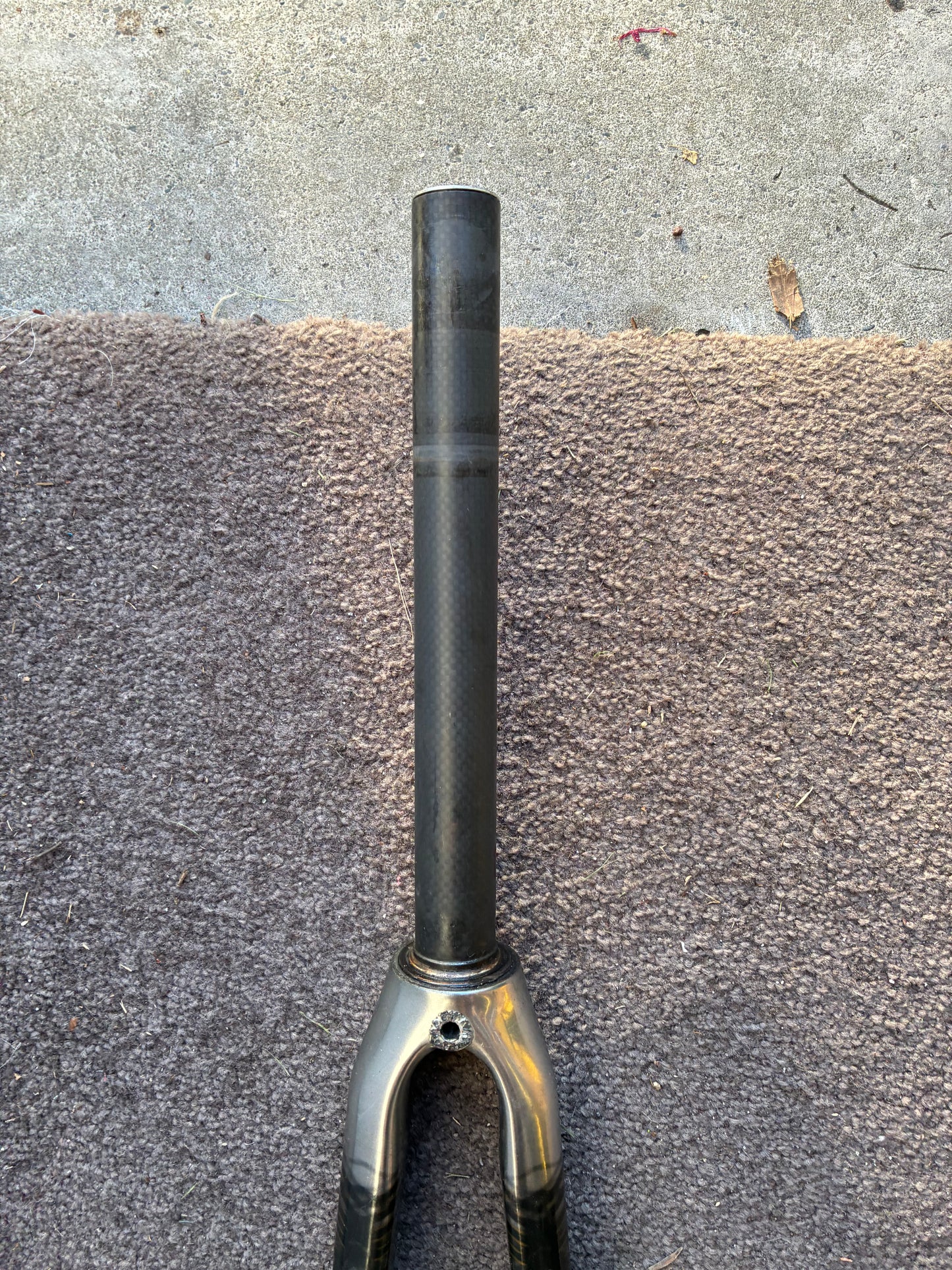 Giant Carbon Road Fork - 700c