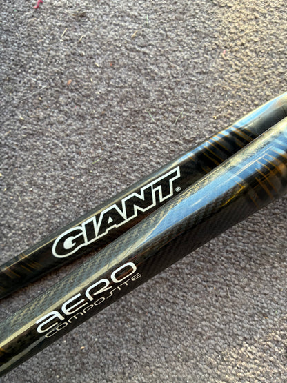 Giant Carbon Road Fork - 700c
