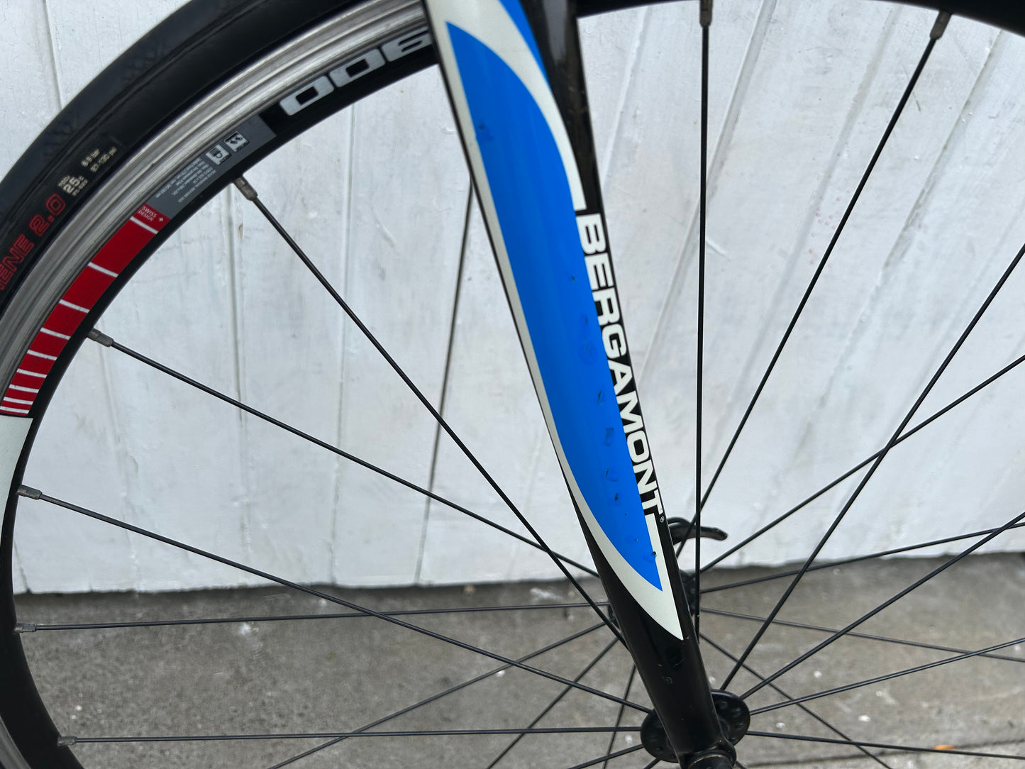 Bergamont Dolce Team Carbon - Medium