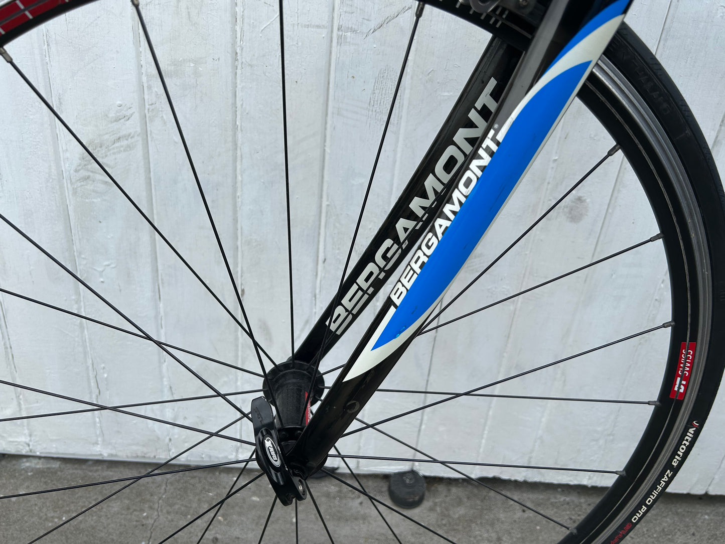 Bergamont Dolce Team Carbon - Medium