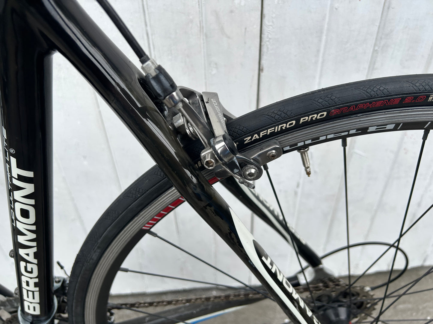 Bergamont Dolce Team Carbon - Medium