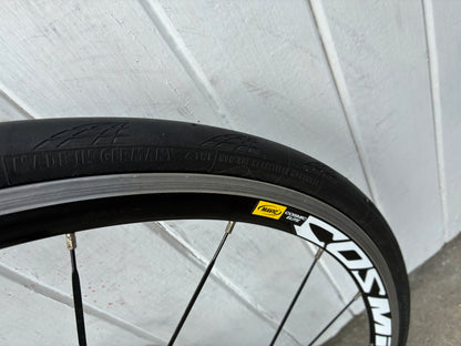 Specialized Venge (11 Spd Ultegra) - Medium/Large