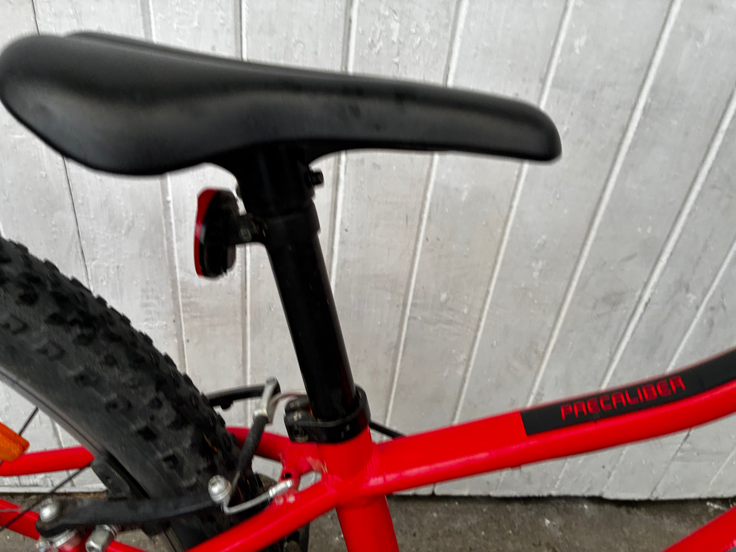 Trek Precalibre 24” Kids MTB