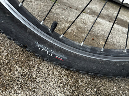 Trek Precalibre 24” Kids MTB