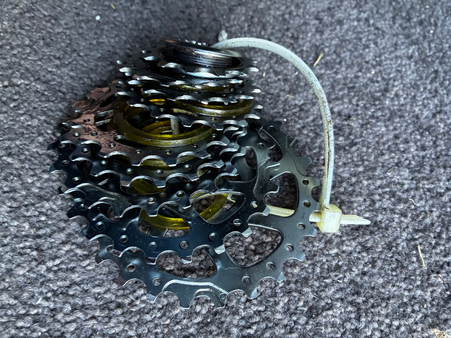 Campag 9 Spd Cassette