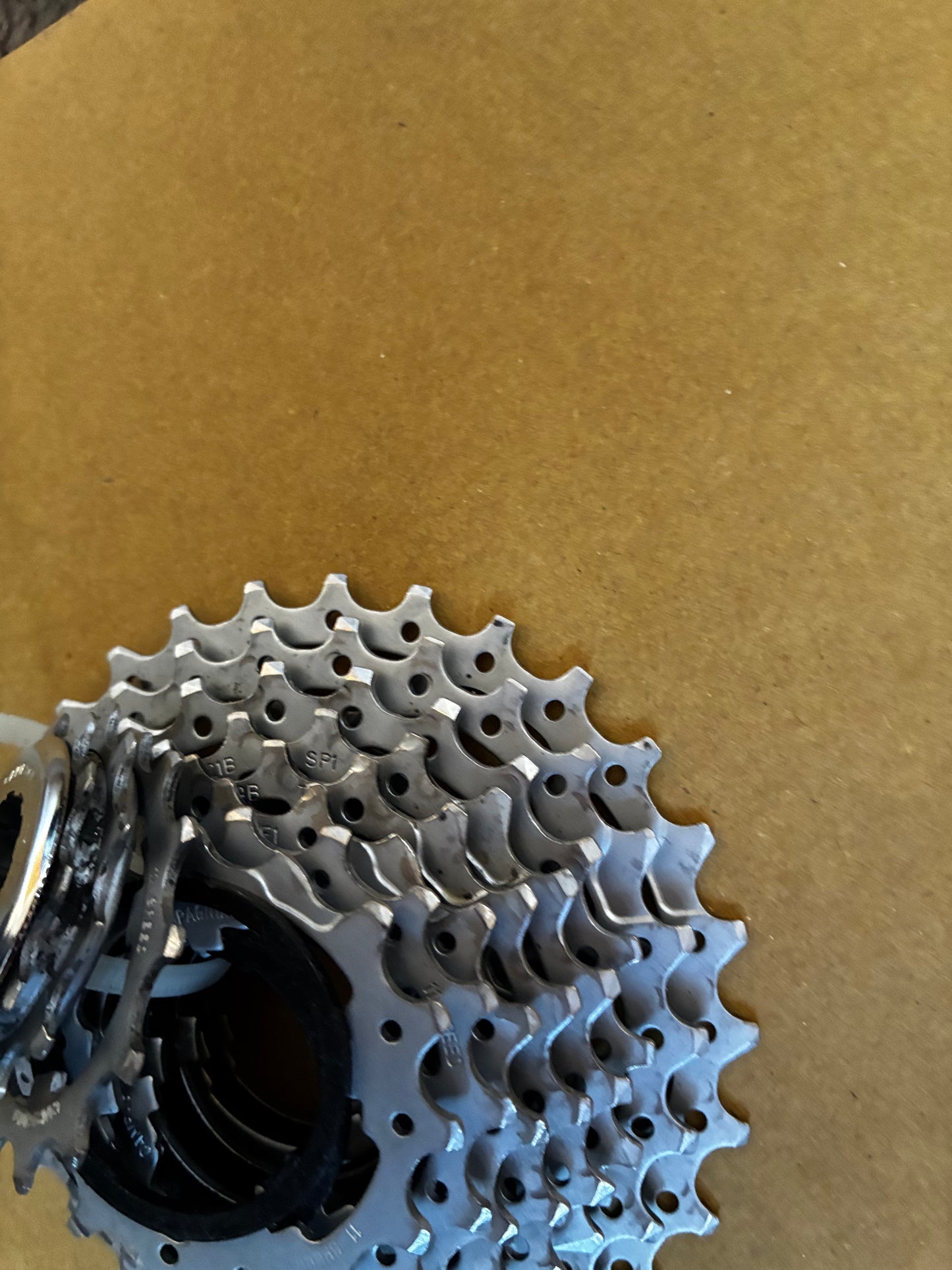 Campag 11 Spd Cassette