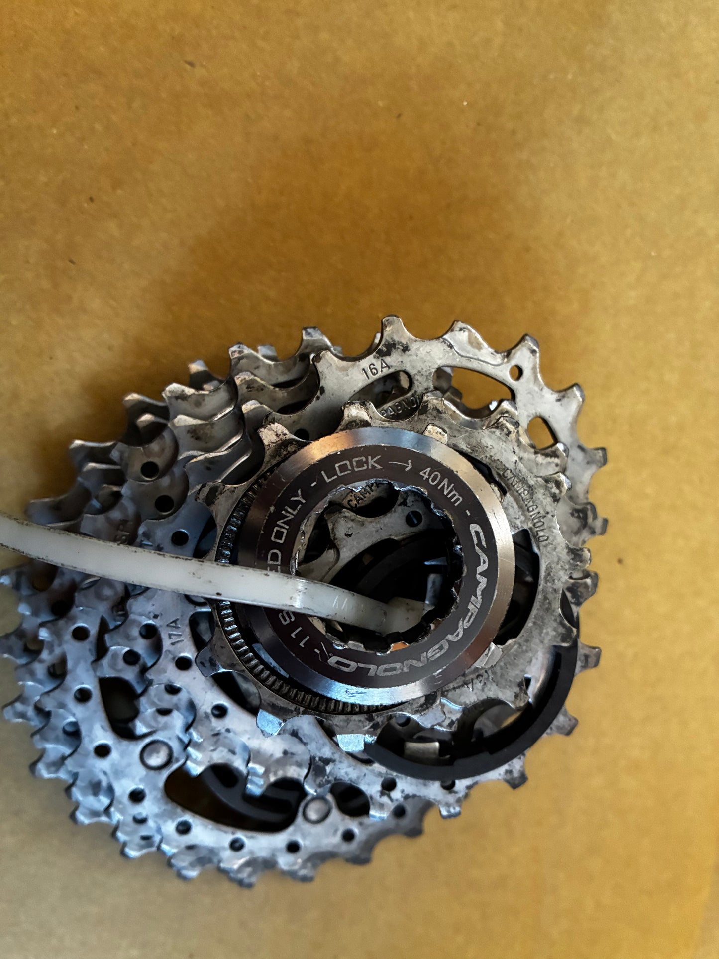 Campag 11 Spd Cassette