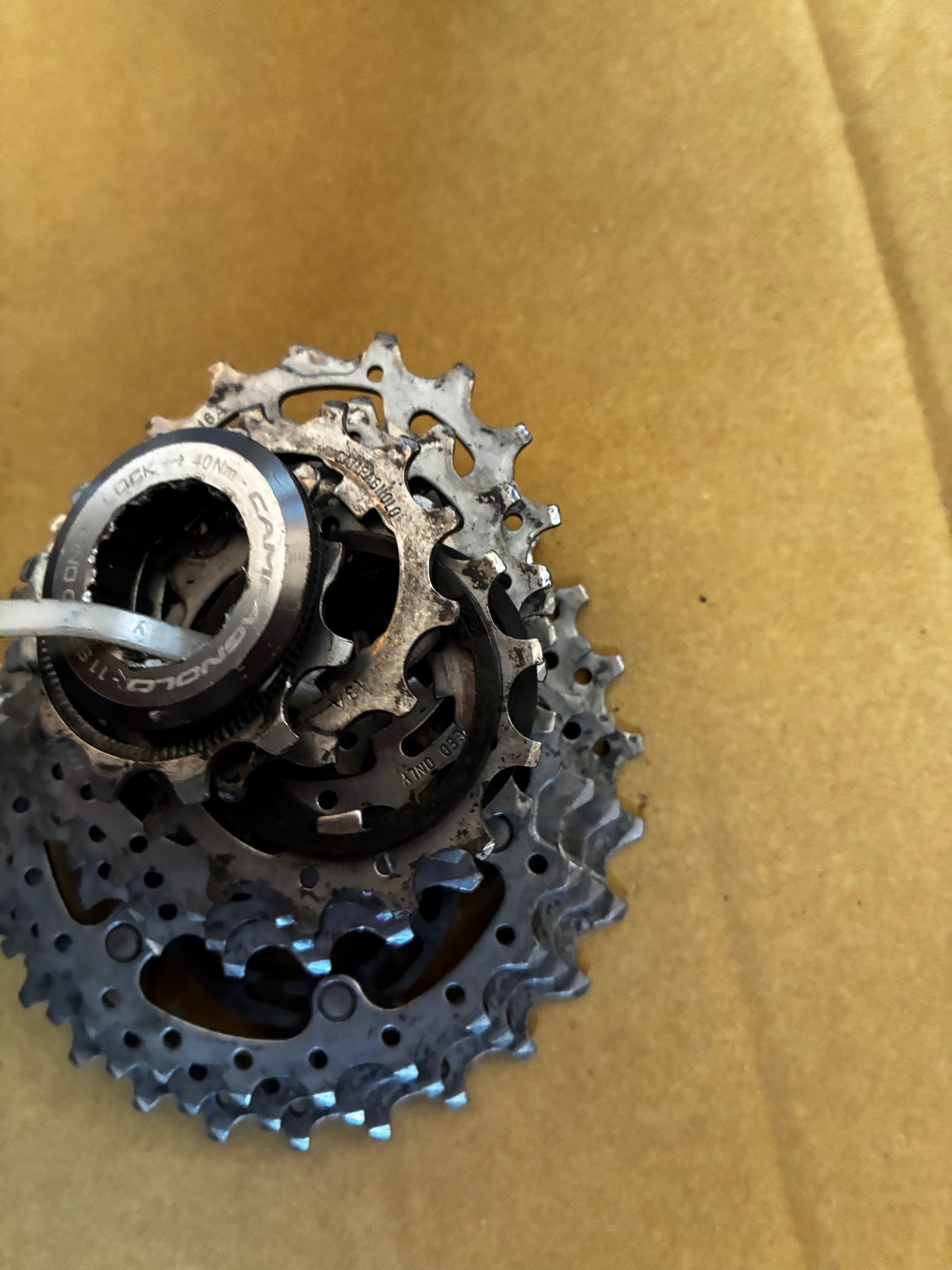 Campag 11 Spd Cassette