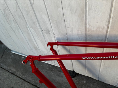 Avanti Vivace Road Frame - Large