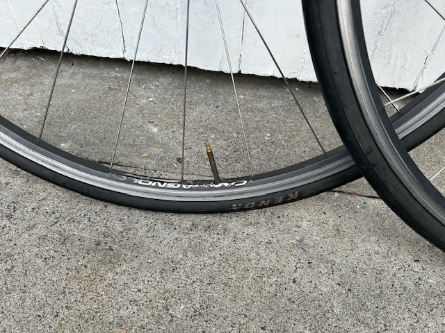 Campagnolo Nucleon alloy clincher Wheelset - 10 Spd