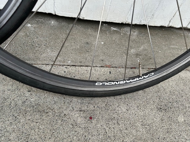 Campagnolo Nucleon alloy clincher Wheelset - 10 Spd