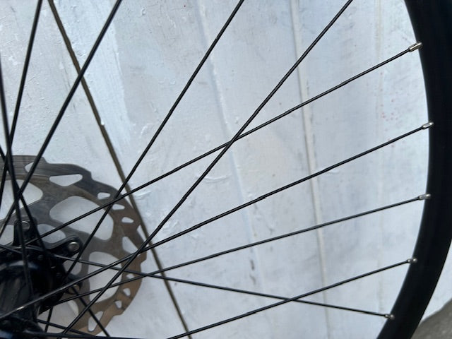 Alex Rims DISC TLR Wheelset - 11 Spd