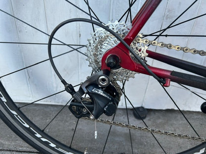 Giant Cadex CFR One Carbon (11 Spd Ultegra) - Large
