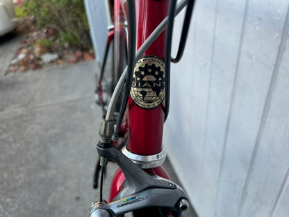 Giant Cadex CFR One Carbon (11 Spd Ultegra) - Large