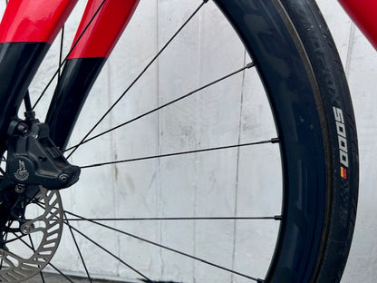 Pinarello Prince DISC (12 Spd Campag Super Record) - M/L