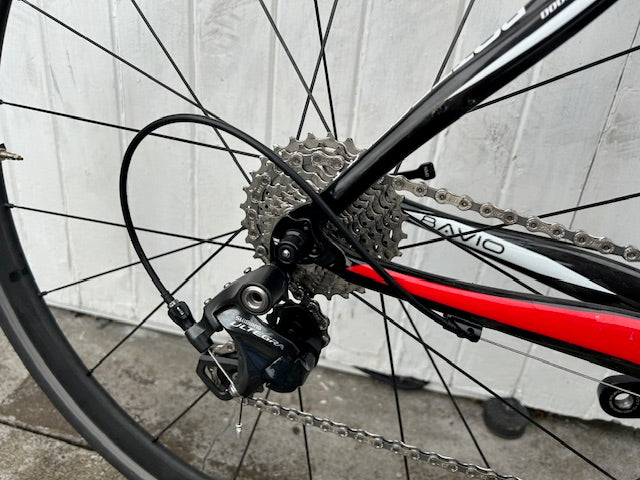 Botticheccia Carbon (11 Spd Ultegra/105) - S/M