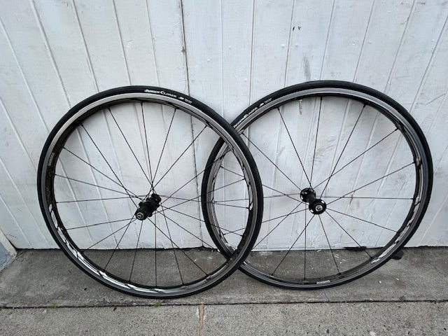 Shimano RS81 Wheelset - 11 Spd