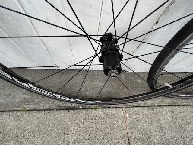 Shimano RS81 Wheelset - 11 Spd
