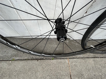 Shimano RS81 Wheelset - 11 Spd
