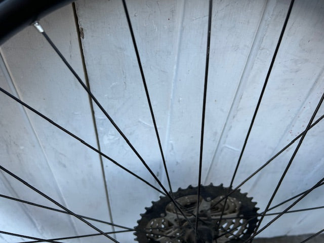 Alex Rims EX30 29' MTB Rear Wheel (Boost)