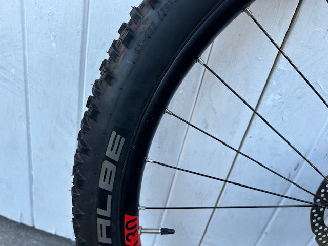Alex Rims EX30 29' MTB Rear Wheel (Boost)