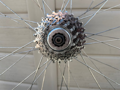 Campagnolo alloy clincher Rear Wheel - 9 Spd